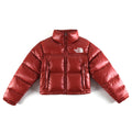 The North Face Glossy Cropped Stand-Collar Puffer Jacket