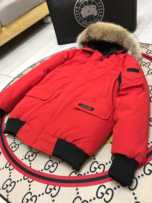 Canada Goose Chilliwack Hooded Bomber Jacket in Red